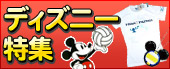 �ǥ����ˡ��ý�